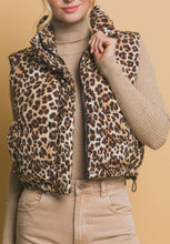 Load image into Gallery viewer, Viola Vest